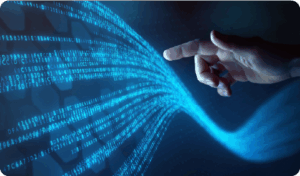 Microsoft Purview Partnership